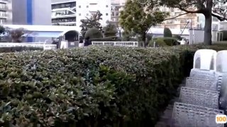 女人与公狼做交十配视频